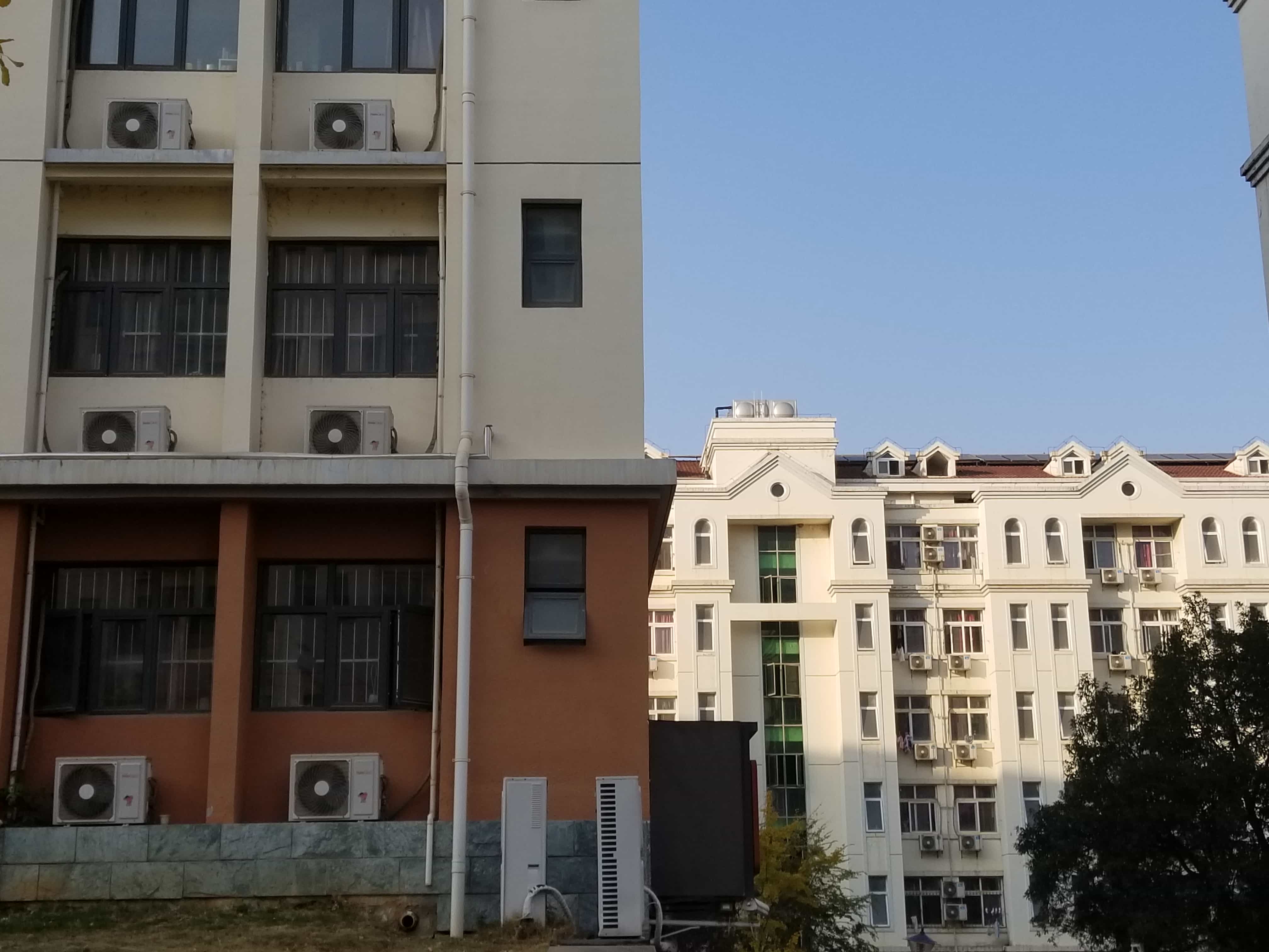 【照片集】十字分割·2021