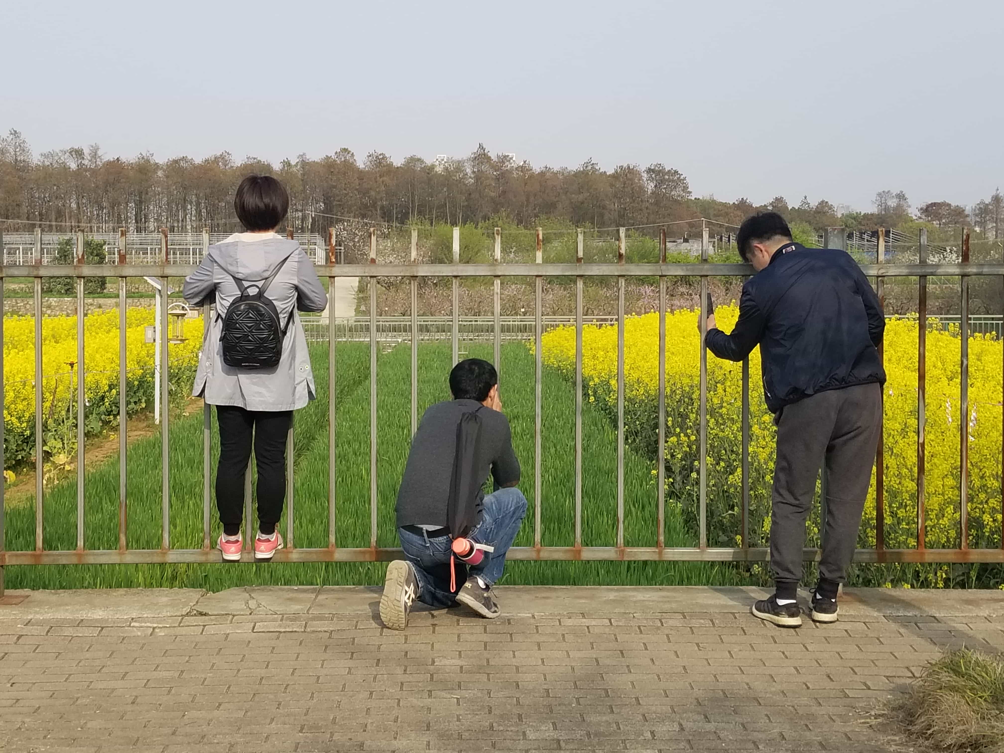 【照片集】三生万物